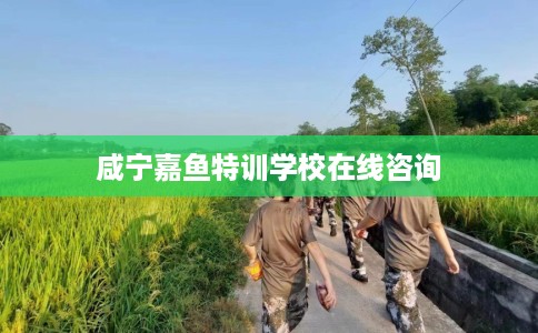咸宁嘉鱼特训学校在线咨询