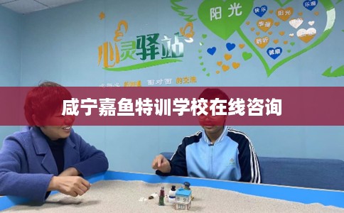 咸宁嘉鱼特训学校在线咨询