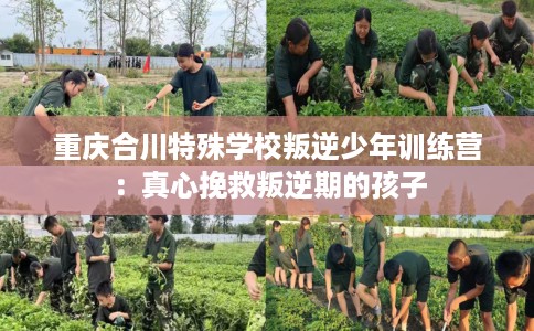 重庆合川特殊学校叛逆少年训练营：真心挽救叛逆期的孩子