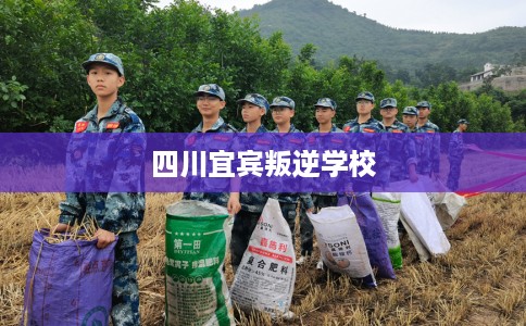 四川宜宾叛逆学校