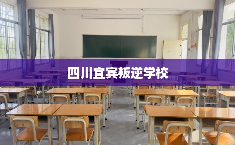 四川宜宾叛逆学校