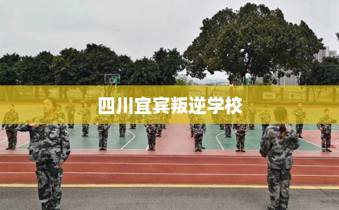 四川宜宾叛逆学校
