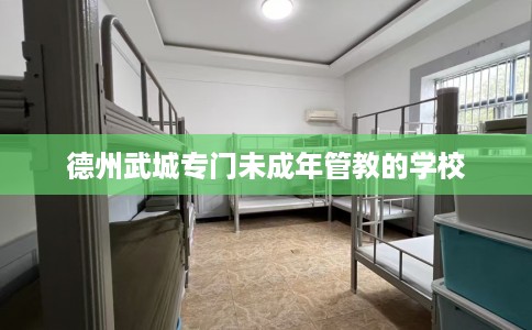 德州武城专门未成年管教的学校
