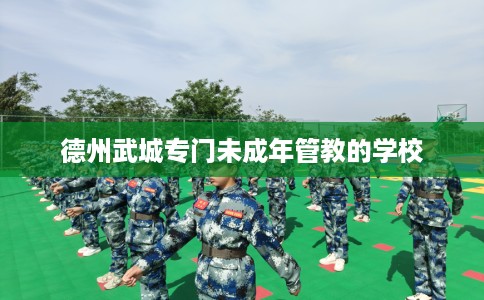 德州武城专门未成年管教的学校