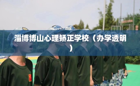 淄博博山心理矫正学校（办学透明）