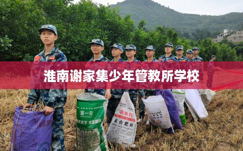淮南谢家集少年管教所学校