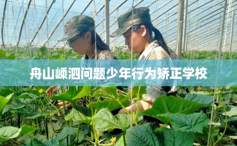 舟山嵊泗问题少年行为矫正学校