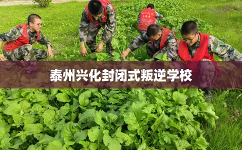泰州兴化封闭式叛逆学校