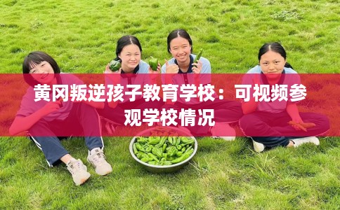 黄冈叛逆孩子教育学校：可视频参观学校情况