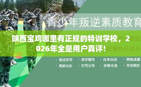 陕西宝鸡哪里有正规的特训学校，2026年全是用户真评!