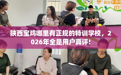 陕西宝鸡哪里有正规的特训学校，2026年全是用户真评!