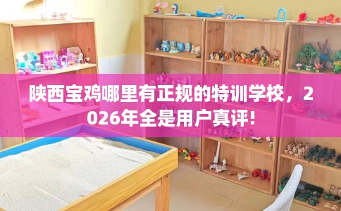 陕西宝鸡哪里有正规的特训学校，2026年全是用户真评!