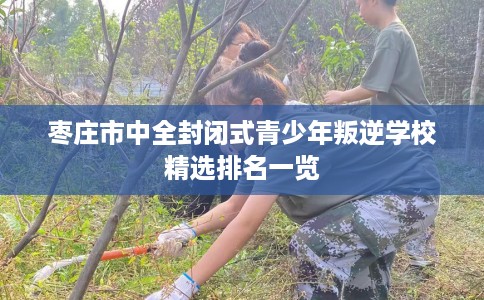 枣庄市中全封闭式青少年叛逆学校精选排名一览