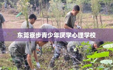 东莞寮步青少年厌学心理学校