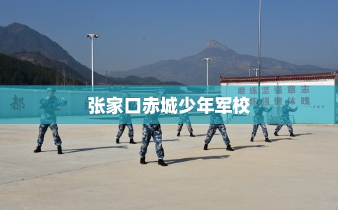 张家口赤城少年军校