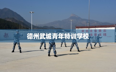 德州武城青年特训学校