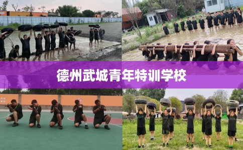 德州武城青年特训学校