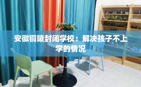 安徽铜陵封闭学校：解决孩子不上学的情况