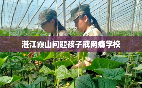 湛江霞山问题孩子戒网瘾学校