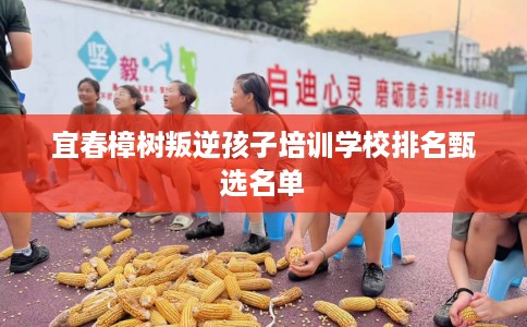 宜春樟树叛逆孩子培训学校排名甄选名单