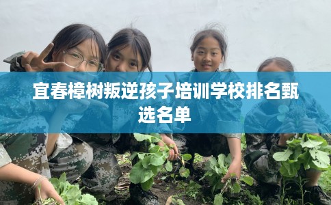宜春樟树叛逆孩子培训学校排名甄选名单