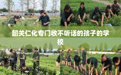 韶关仁化专门收不听话的孩子的学校