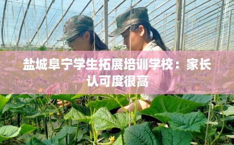 盐城阜宁学生拓展培训学校：家长认可度很高