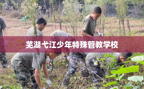 芜湖弋江少年特殊管教学校