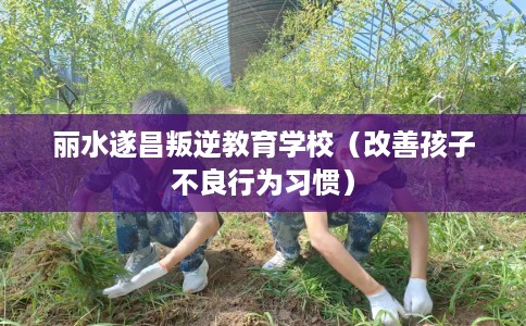 丽水遂昌叛逆教育学校（改善孩子不良行为习惯）
