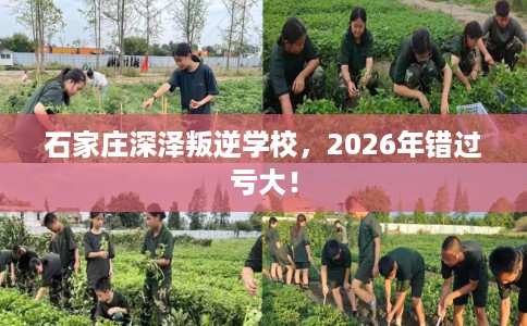 石家庄深泽叛逆学校，2026年错过亏大！