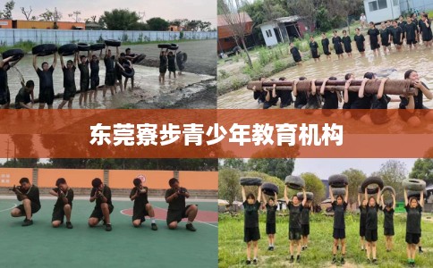 东莞寮步青少年教育机构