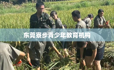 东莞寮步青少年教育机构