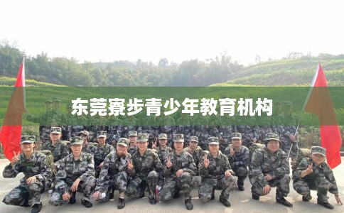 东莞寮步青少年教育机构