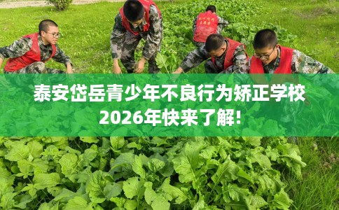 泰安岱岳青少年不良行为矫正学校2026年快来了解!