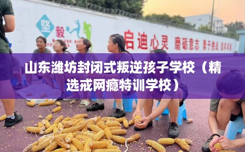 山东潍坊封闭式叛逆孩子学校（精选戒网瘾特训学校）