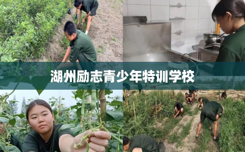 湖州励志青少年特训学校