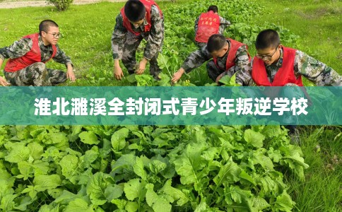 淮北濉溪全封闭式青少年叛逆学校