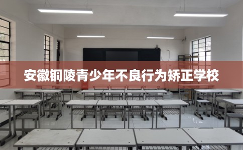 安徽铜陵青少年不良行为矫正学校