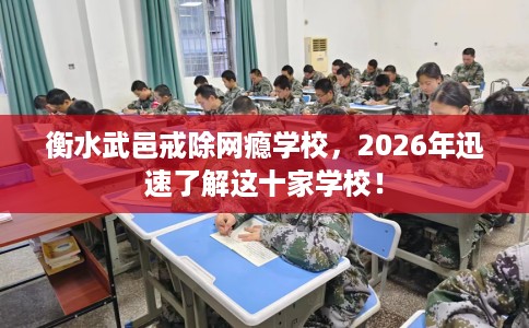 衡水武邑戒除网瘾学校，2026年迅速了解这十家学校！
