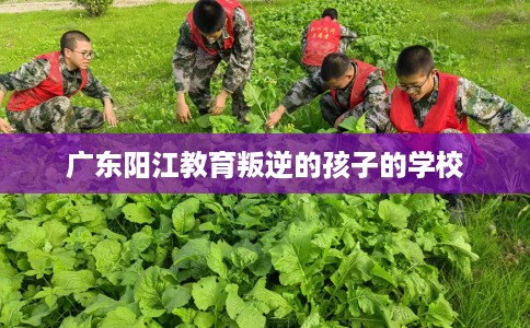 广东阳江教育叛逆的孩子的学校