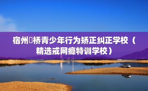 宿州埇桥青少年行为矫正纠正学校（精选戒网瘾特训学校）