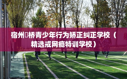 宿州埇桥青少年行为矫正纠正学校（精选戒网瘾特训学校）