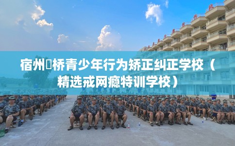 宿州埇桥青少年行为矫正纠正学校（精选戒网瘾特训学校）
