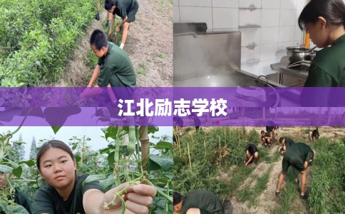 江北励志学校