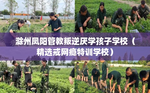 滁州凤阳管教叛逆厌学孩子学校（精选戒网瘾特训学校）