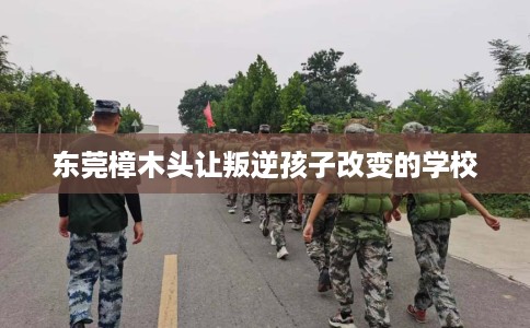 东莞樟木头让叛逆孩子改变的学校