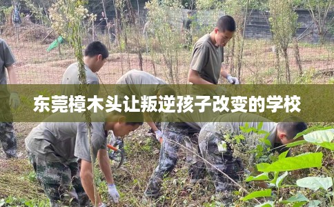 东莞樟木头让叛逆孩子改变的学校