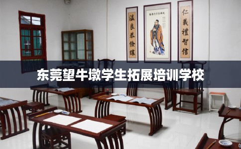 东莞望牛墩学生拓展培训学校