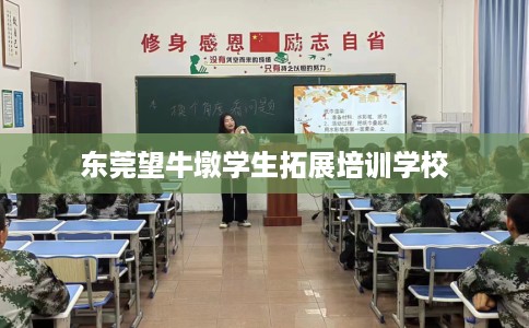 东莞望牛墩学生拓展培训学校