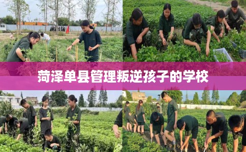 菏泽单县管理叛逆孩子的学校